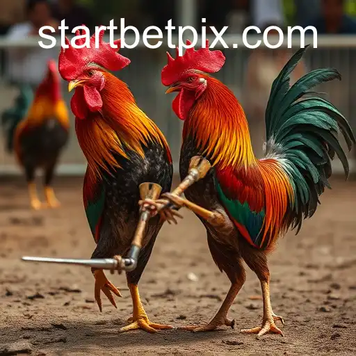 The Complex World of Cockfighting: An In-Depth Analysis